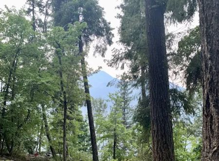 Purple Point Campground