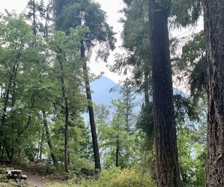 Purple Point Campground