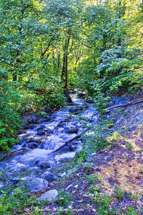 Purple Point Campground Picture 7
