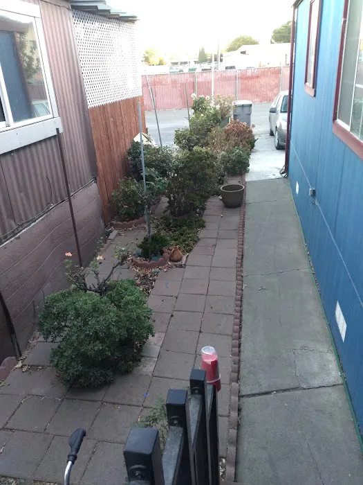 Capri Mobile Home Park Picture 6