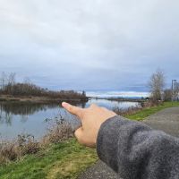 Salmon Pass Island ico