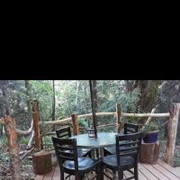 Tree Tent Park ico