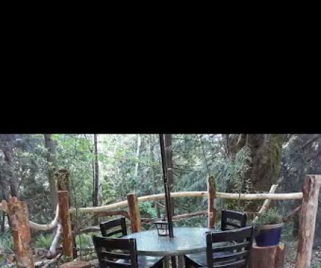 Tree Tent Park