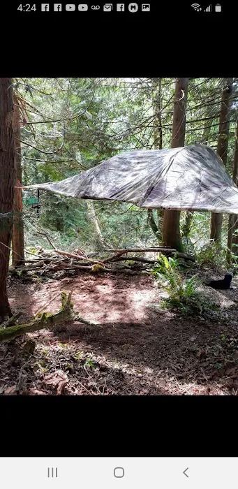 Tree Tent Park Picture 5