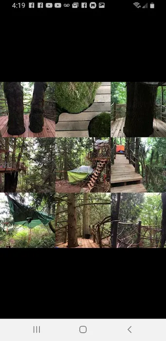 Tree Tent Park Picture 9