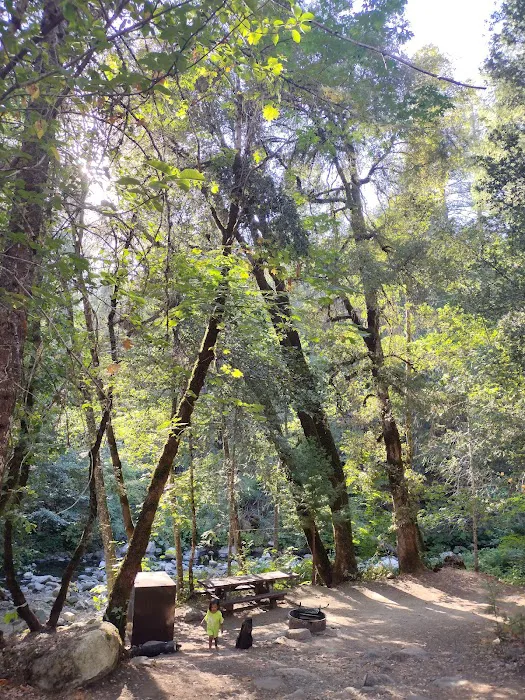 CAL-IDA Campground Picture 9