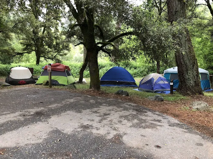 Fiddle Creek Campground Picture 1