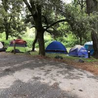 Fiddle Creek Campground ico