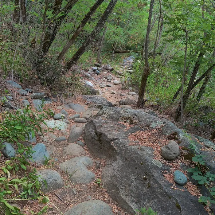 Fiddle Creek Campground Picture 8