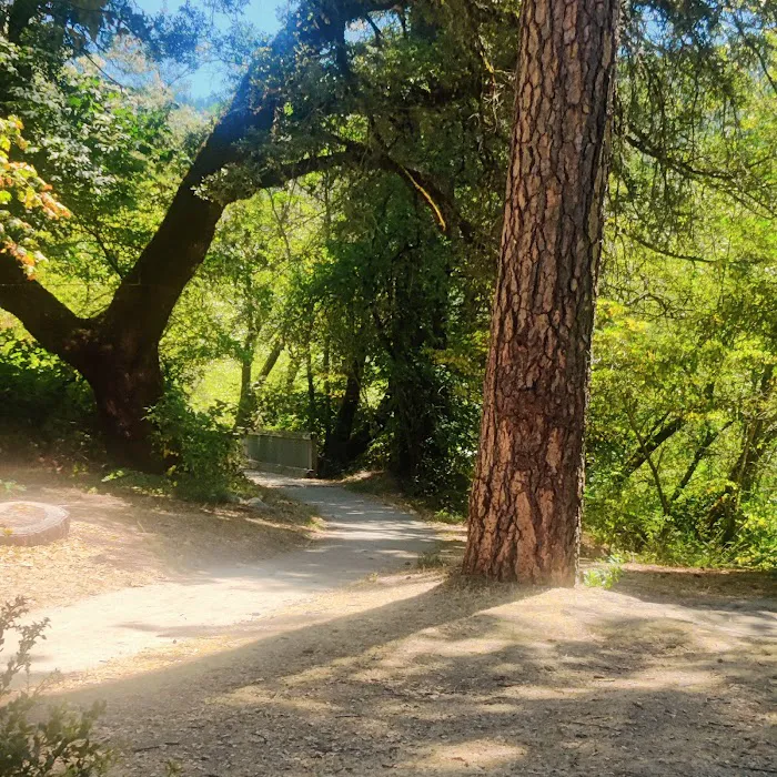 Fiddle Creek Campground Picture 7