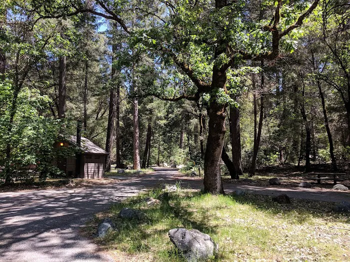 Indian Valley Campground Picture 6