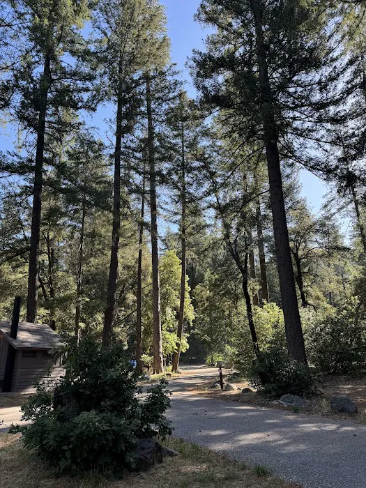 Indian Valley Campground Picture 7