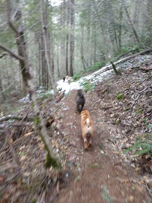 Rocky Rest Campground Picture 5