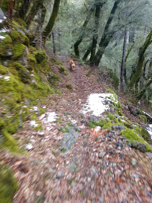 Rocky Rest Campground Picture 9