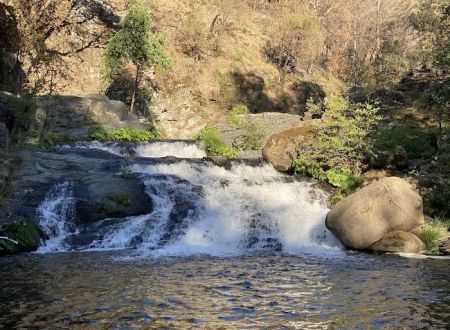 Milsap Bar Campground