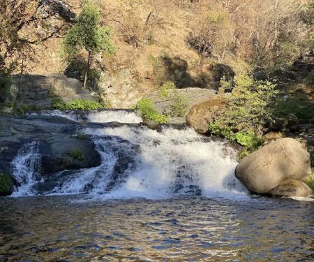 Milsap Bar Campground