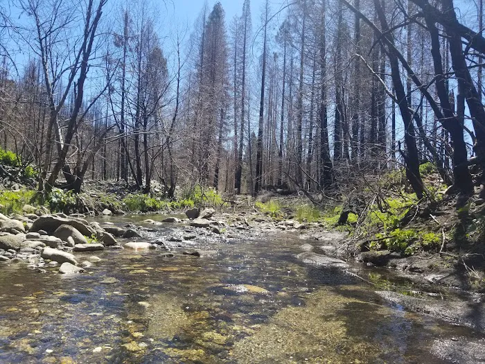 Fall River Campground Picture 1