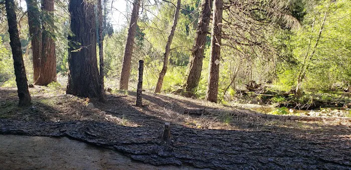 Fall River Campground Picture 5