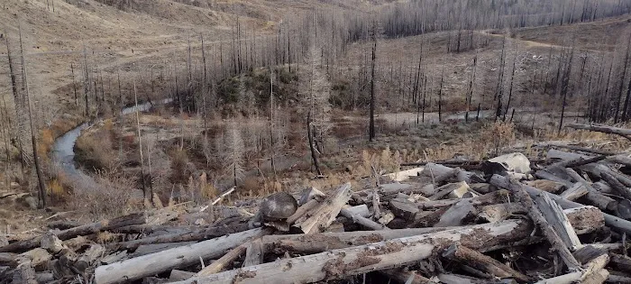Fall River Campground Picture 6