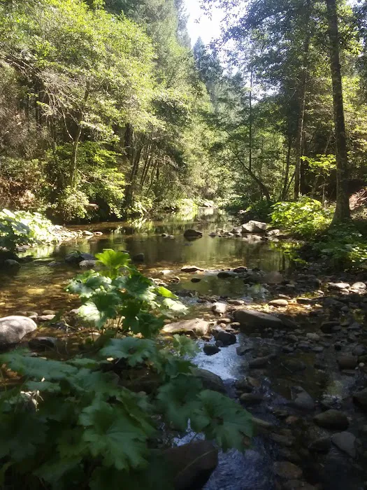 Fall River Campground Picture 4