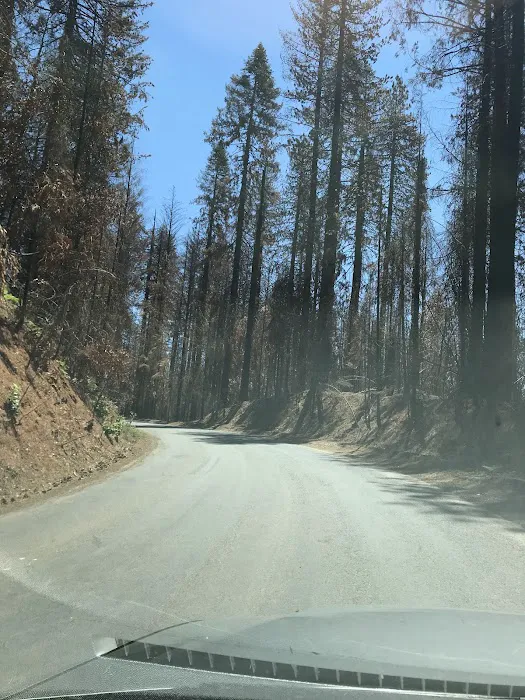 Fall River Campground Picture 7