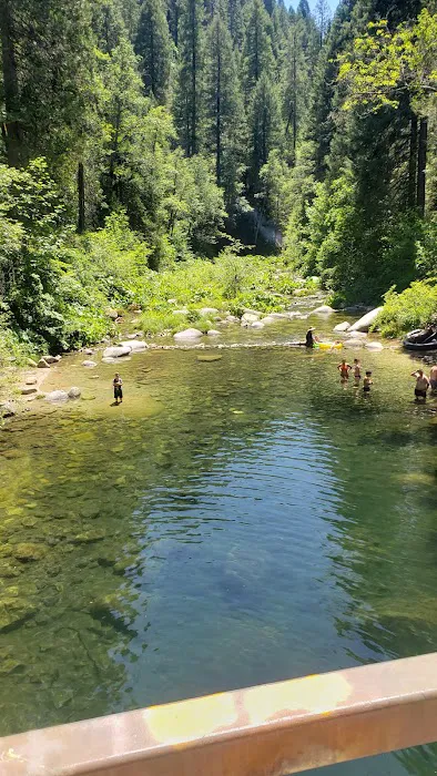 Golden Trout Picture 3