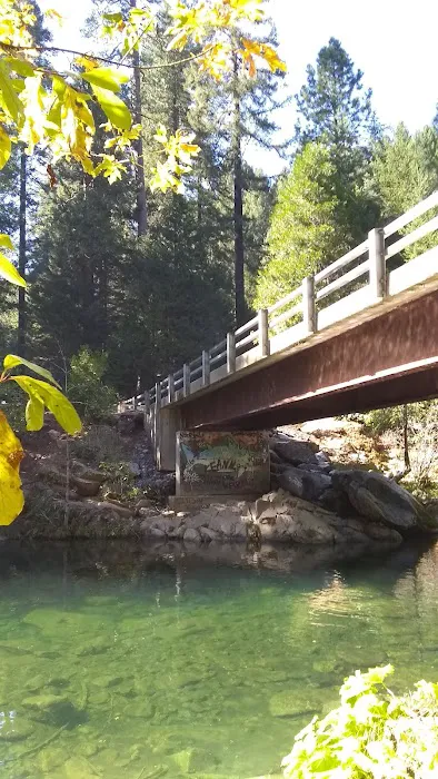 Golden Trout Picture 1
