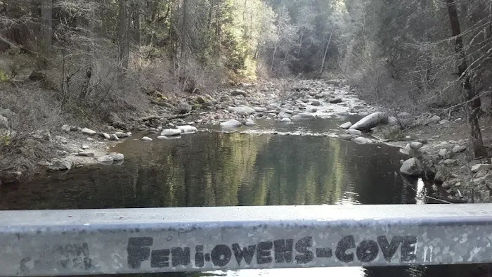 Golden Trout Picture 10