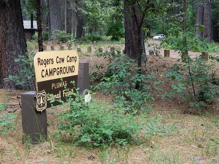 Rogers Cow Camp Picture 5