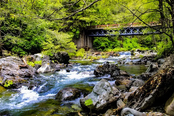 Little North Fork Campground Picture 1