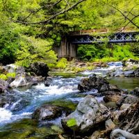 Little North Fork Campground ico
