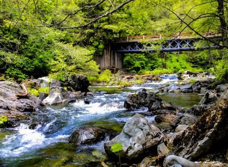 Little North Fork Campground