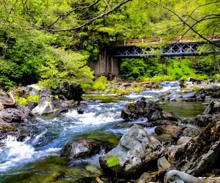 Little North Fork Campground