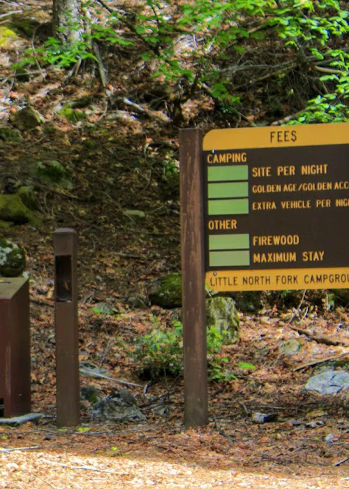 Little North Fork Campground Picture 4