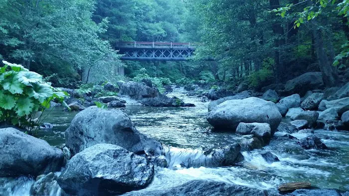 Little North Fork Campground Picture 2