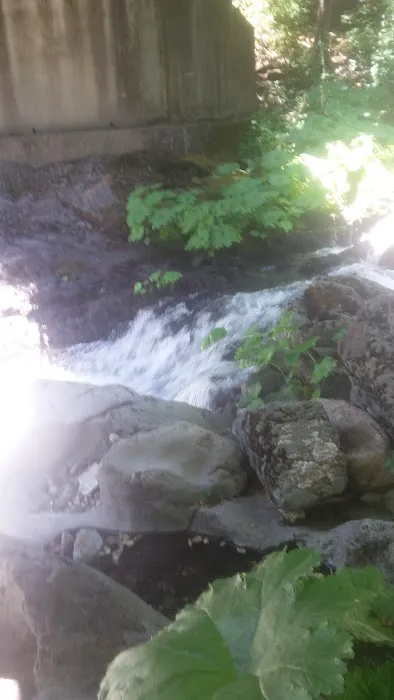 Little North Fork Campground Picture 7