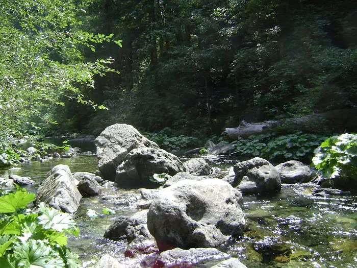 Little North Fork Campground Picture 9