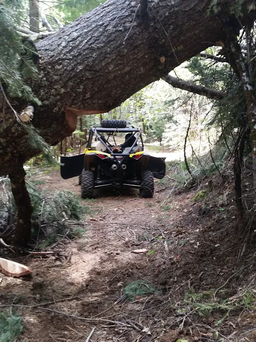 Little North Fork Campground Picture 6