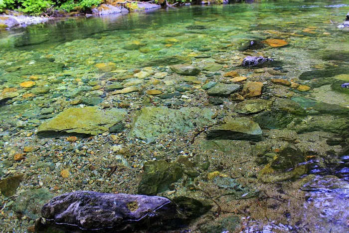 Little North Fork Campground Picture 8