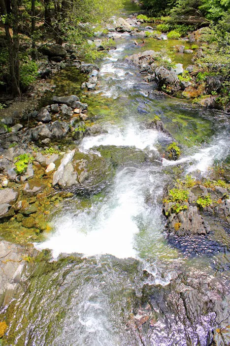 Little North Fork Campground Picture 10
