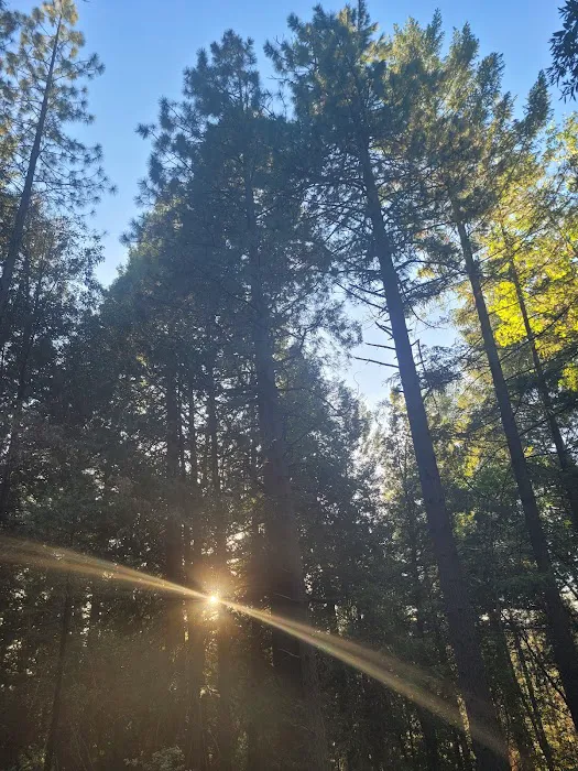 Forks Of Butte Campground Picture 2