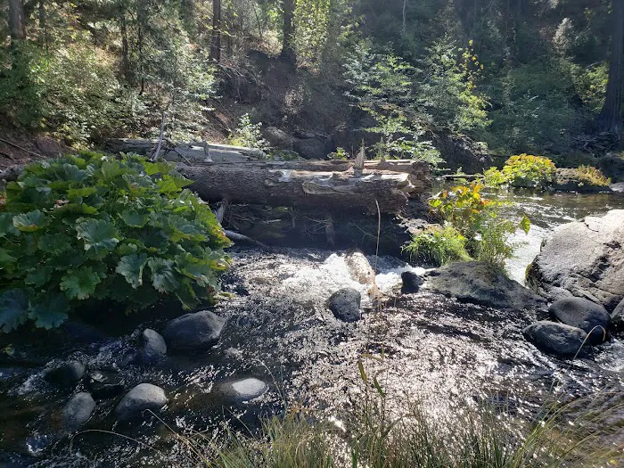 Forks Of Butte Campground Picture 5