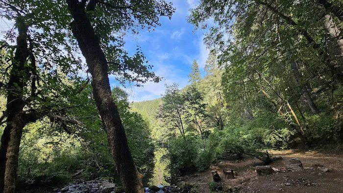 Forks Of Butte Campground Picture 6