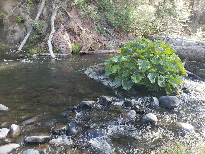 Forks Of Butte Campground Picture 8