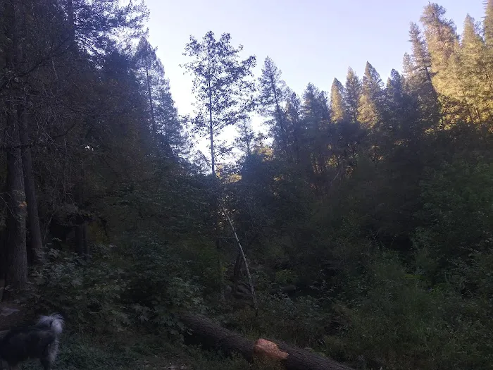 Forks Of Butte Campground Picture 7
