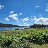 Meadow Lake Campground ico