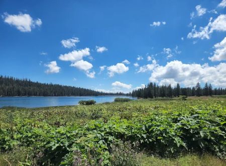 Meadow Lake Campground