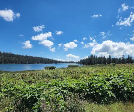 Meadow Lake Campground