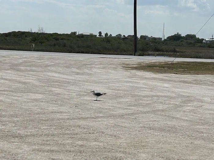 River City RV Park Picture 1