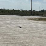 River City RV Park